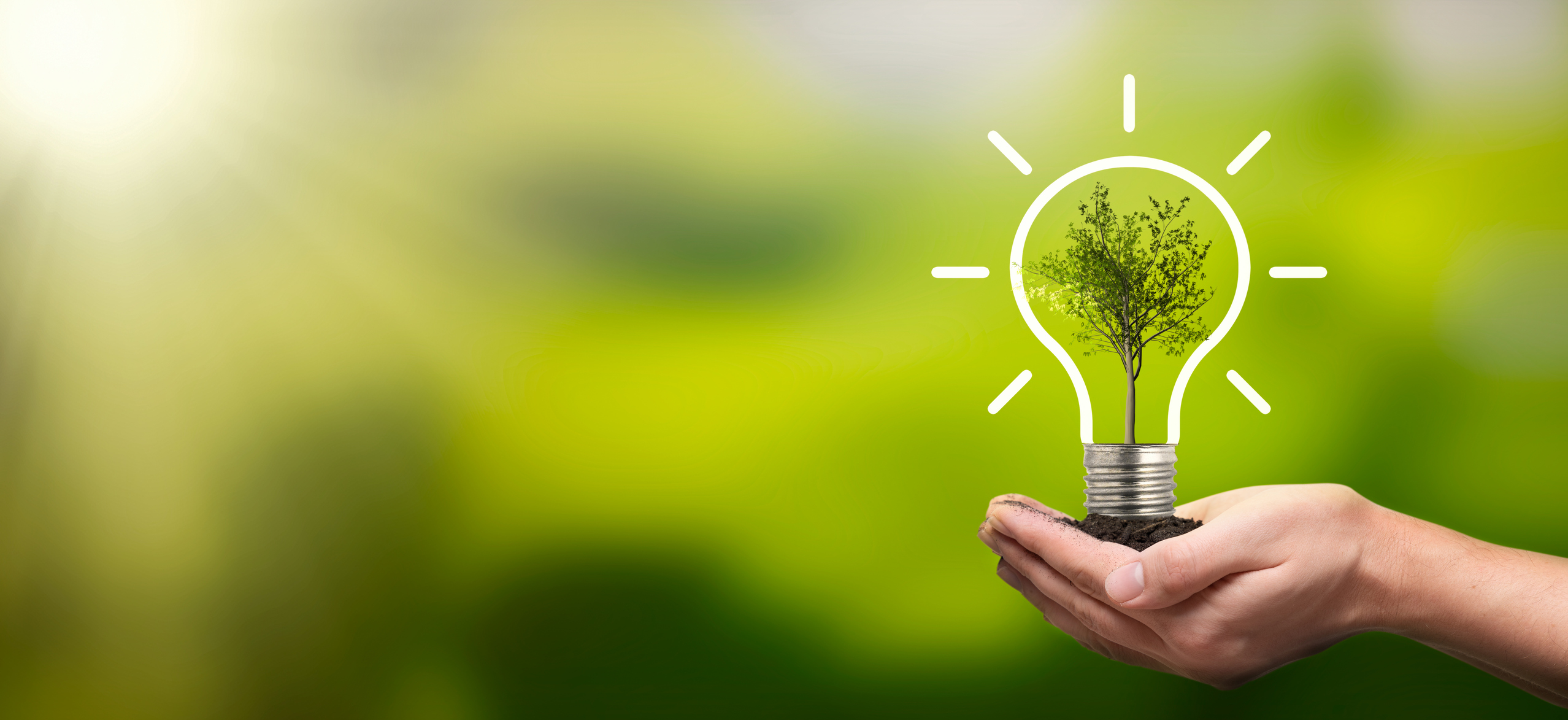 Eco-friendly Products for a Greener World
